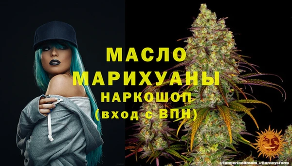 соль ск Верхний Тагил