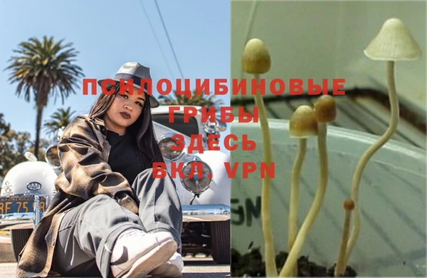 кокс Верея