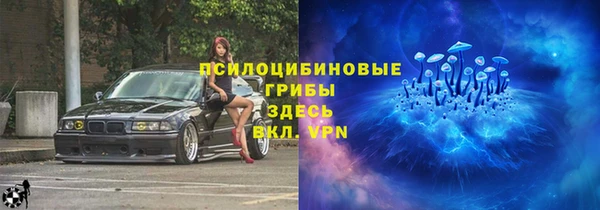 соль ск Верхний Тагил