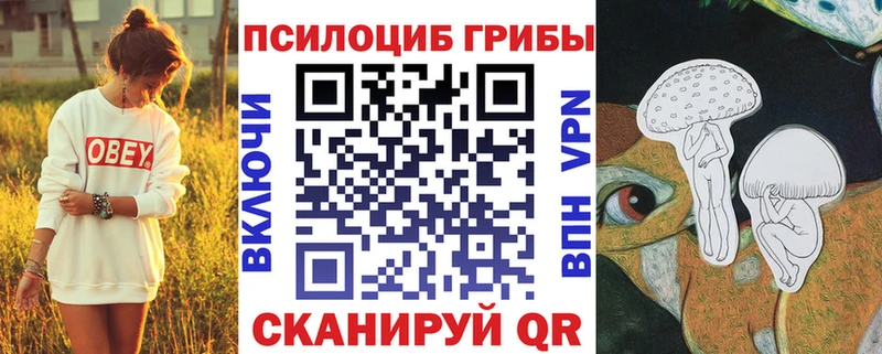 Псилоцибиновые грибы Magic Shrooms купить наркотики цена Рузаевка