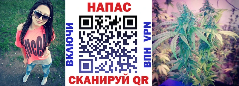 omg ссылки  Рузаевка  Конопля сатива 